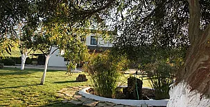 Cortijo Barrera 0019