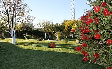 Cortijo Barrera en El Bosque (Cádiz) - Foto 20