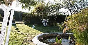 Cortijo Barrera 0023