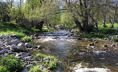 Alojamientos para grupos de 4 a 100 personas. PRECIOS ESPECIALES para familias en Navaluenga (Ávila) - Foto 17