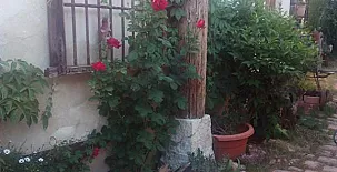 El Sueño de Lucrecia 0042