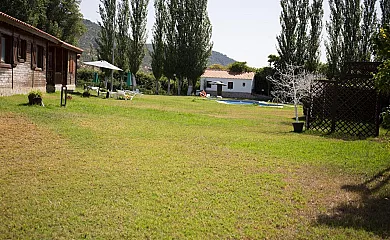 El Venero de Móstoles en Constantina (Sevilla) - Foto 7