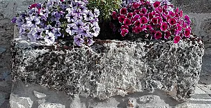 C.R. El Molino de Alocén 0035