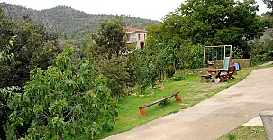 El Pajar del Abuelo casa trillo 006