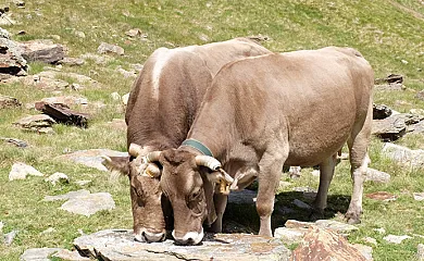 L´Hort del Metge en Lladros (Lleida) - Foto 7