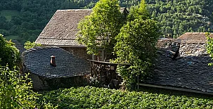 L´Hort del Metge 009