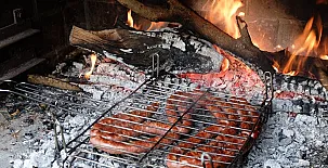 L´Hort del Metge 005