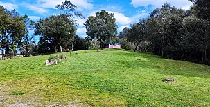 Apartamentos playa La Franca-El Pontarron Apartamentos 003