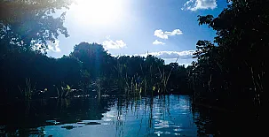 Camino del Castaño 0021