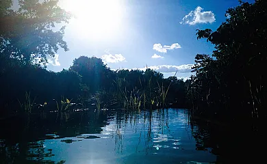 Camino del Castaño en Galaroza (Huelva) - Foto 21