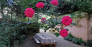 Camino del Castaño 0022