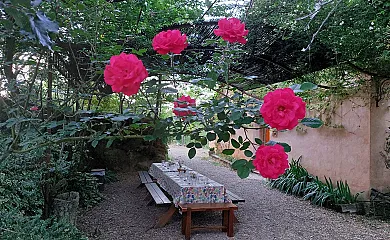 Camino del Castaño en Galaroza (Huelva) - Foto 22