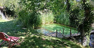 Camino del Castaño 0023