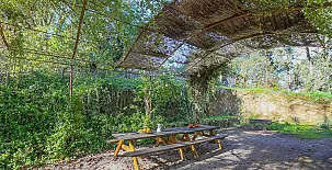 Camino del Castaño 004