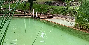 Camino del Castaño 0024