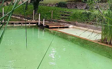 Camino del Castaño en Galaroza (Huelva) - Foto 24