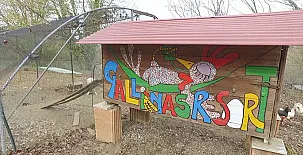 Camino del Castaño 0025