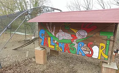 Camino del Castaño en Galaroza (Huelva) - Foto 25