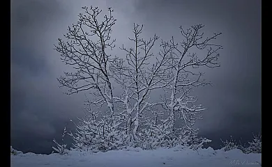 Casa Caselo en Folgoso Do Courel (Lugo) - Foto 24