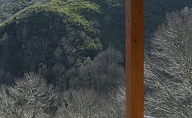 As Triegas en Folgoso Do Courel (Lugo) - Foto 12