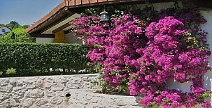 Casas Rurales El Terrero 0062