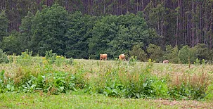 Casa Rico de Medín 002