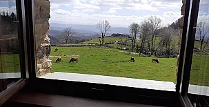 O Busto Aldea Rural 003