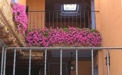 Casa Rural Los Pedregales en Carenas (Zaragoza) - Foto 21