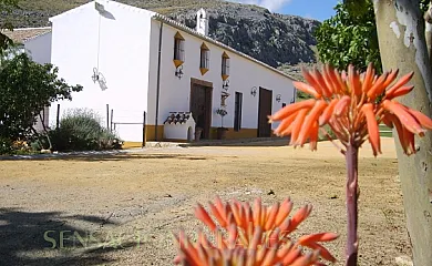 Cortijo El Puntal de Teba en Teba (Málaga) - Foto 1