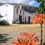 Cortijo El Puntal de Teba 001