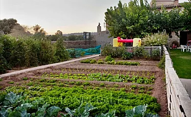 Casa Pairal Espasa en L´Espluga de Francolí (Tarragona) - Foto 15