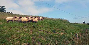 La Sierra de Aguanaz 002