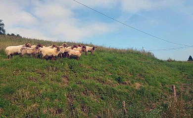 La Sierra de Aguanaz en Entrambasaguas (Cantabria) - Foto 2