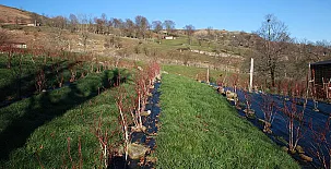 El Escondite del Miera 005