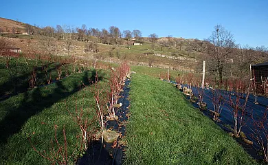 El Escondite del Miera en San Roque de Riomiera (Cantabria) - Foto 5