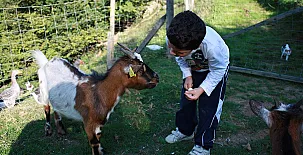 El Escondite del Miera 002