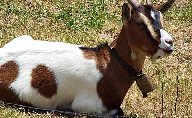La Riguera de Ginio en Ucieda (Cantabria) - Foto 5