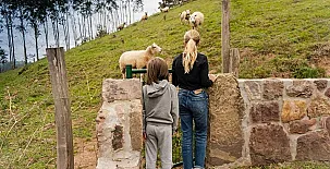 Casas Rurales Leyendas del Miera 003