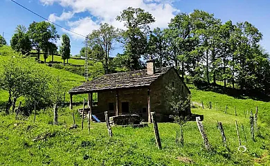 La Reina del Paraíso en San Roque de Riomiera (Cantabria) - Foto 3