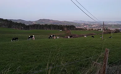 Finca La Garita en Santillana Del Mar (Cantabria) - Foto 5