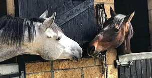 Agroturismo Anziola 004