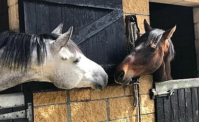 Agroturismo Anziola en Oiartzun (Guipuzcoa) - Foto 4