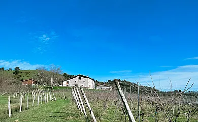 Agroturismo Erlete Goikoa en Deba (Guipuzcoa) - Foto 5