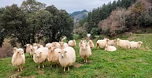 Agroturismo Erlete Goikoa 002