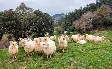 Agroturismo Erlete Goikoa en Deba (Guipuzcoa) - Foto 2