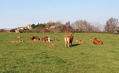 Harrigain en Igueldo (Guipuzcoa) - Foto 1