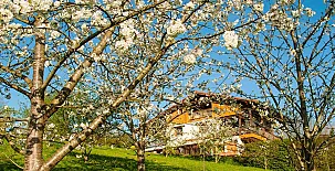 Artesoro Baserria 002