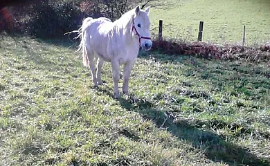 Mendi Alai en Carranza (Vizcaya) - Foto 2