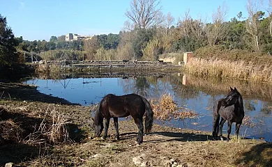 Masia Torrecabota en Calders (Barcelona) - Foto 6