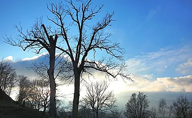 Mas El Coll en Rupit i Pruit (Barcelona) - Foto 11